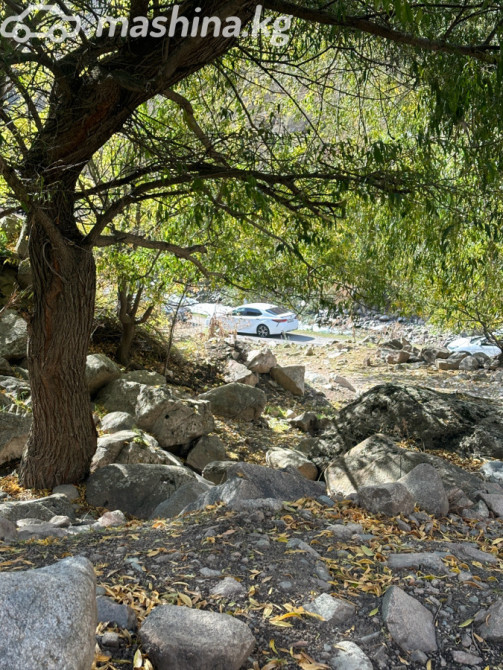 Toyota Camry VIII (XV70) 2.5, 2018 Бишкек - сүрөт 10