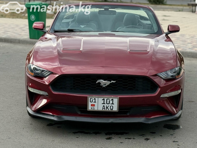 Ford Mustang VI Рестайлинг 2.3, 2019 Bishkek - photo 4