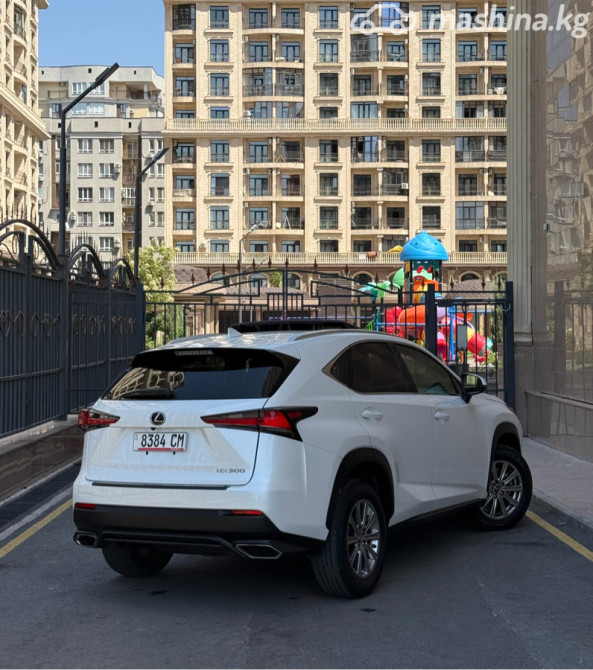 Lexus NX I Рестайлинг 300 2.0, 2019 Бишкек - сүрөт 6