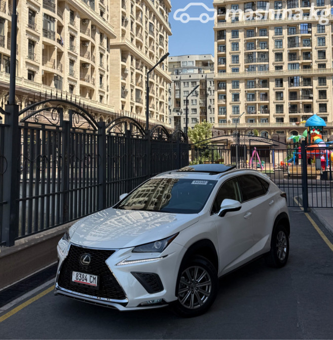 Lexus NX I Рестайлинг 300 2.0, 2019 Бишкек - сүрөт 3