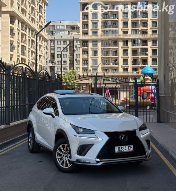Lexus NX I Рестайлинг 300 2.0, 2019 Бишкек - сүрөт 1
