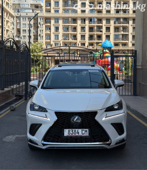 Lexus NX I Рестайлинг 300 2.0, 2019 Бишкек - сүрөт 2