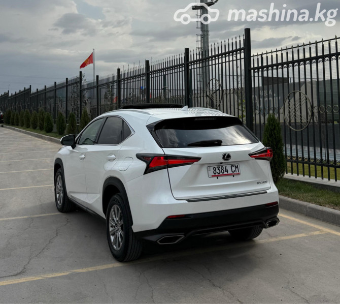 Lexus NX I Рестайлинг 300 2.0, 2019 Бишкек - сүрөт 6