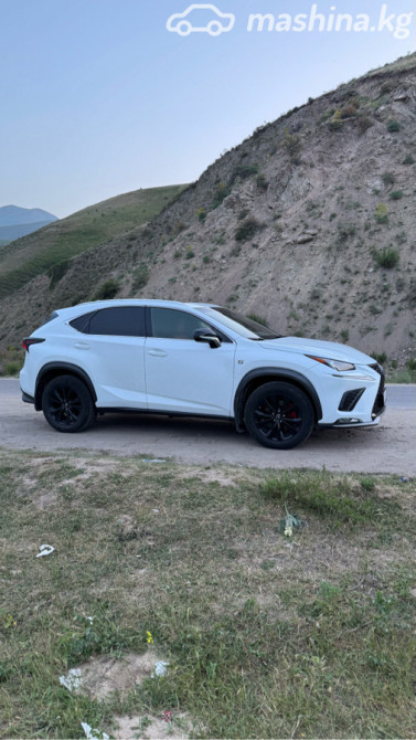 Lexus NX I Рестайлинг 300 2.0, 2020 Бишкек - сүрөт 1
