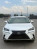 Lexus NX I Рестайлинг 300 2.0, 2019 Bishkek