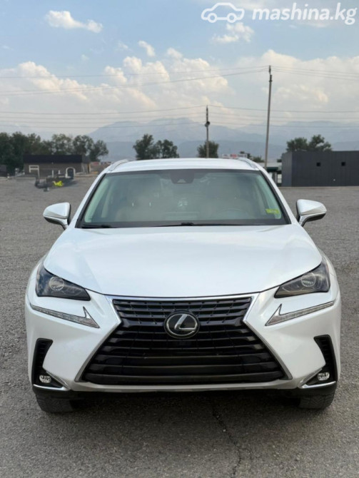 Lexus NX I Рестайлинг 300 2.0, 2019 Bishkek - photo 1