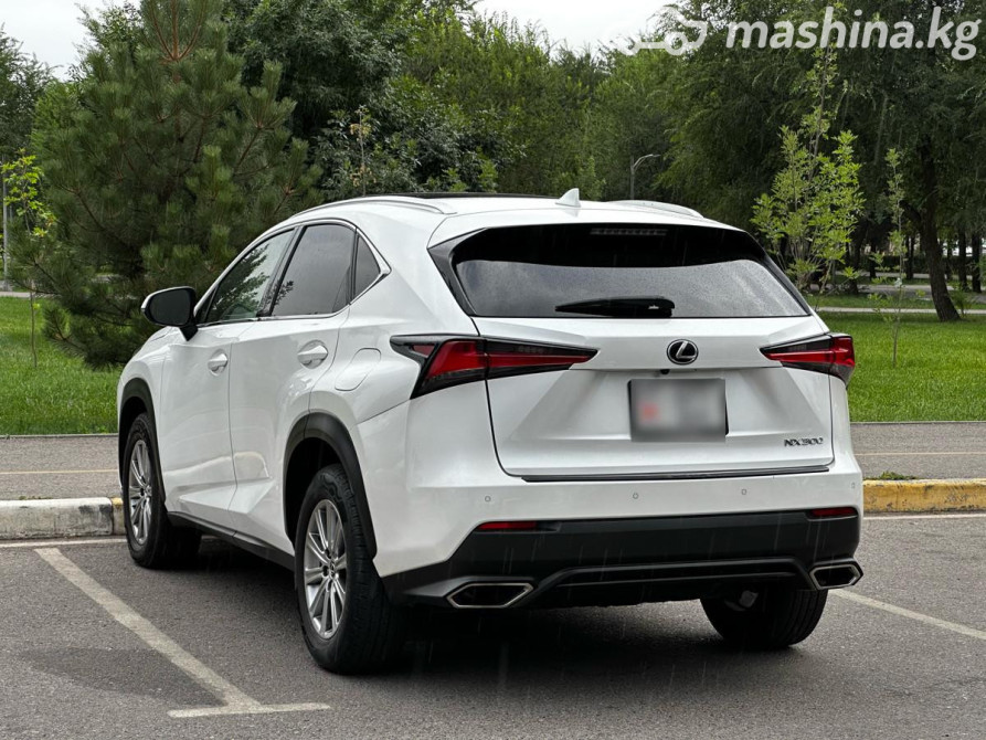 Lexus NX I Рестайлинг 300 2.0, 2018 Бишкек - сүрөт 6