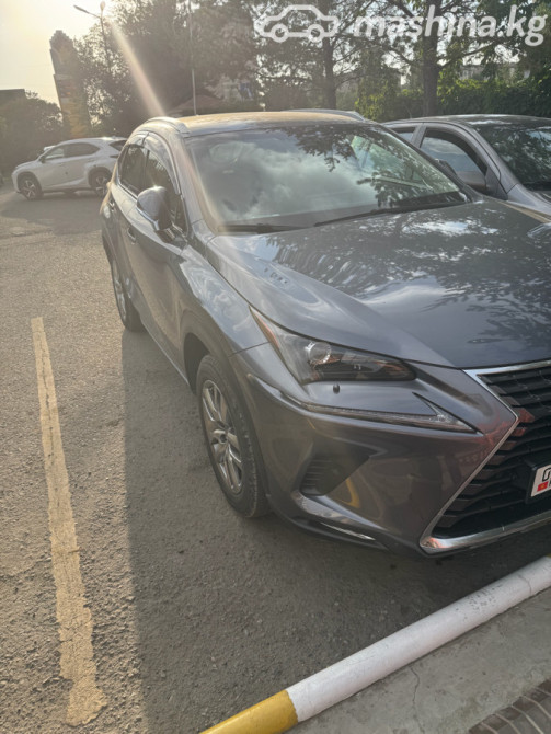 Lexus NX I Рестайлинг 300 2.0, 2018 Bishkek - photo 1