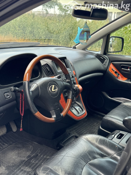 Lexus RX I 300 3.0, 2002 Bishkek - photo 10