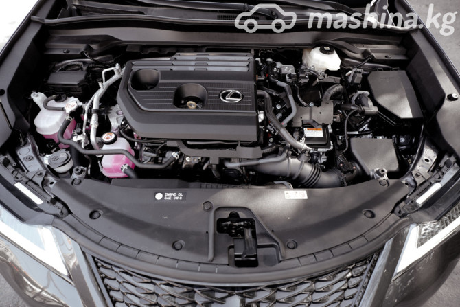 Lexus UX I 300h 2.0, 2024 Бишкек - сүрөт 12