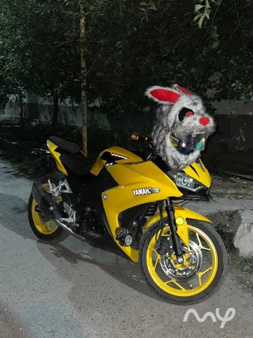 Спортбайк Yamaha, 300 куб. см, Бензин, Взрослый, Б/у Джалал-Абад - изображение 7