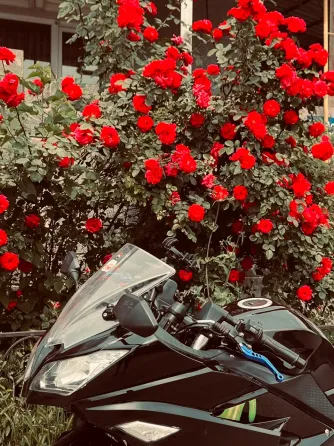 Hirlee band 200c chines motor bike Бишкек