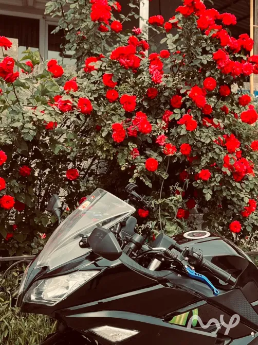 Hirlee band 200c chines motor bike Бишкек - изображение 3