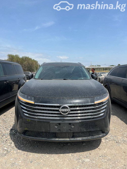 Nissan Pathfinder V (China Market) 2.0, 2024 Bishkek - photo 1