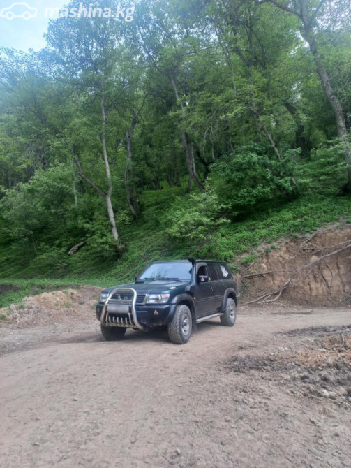 Nissan Patrol V (Y61) 3.0, 2001 Bishkek - photo 1