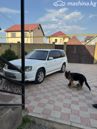 Subaru Forester II 2.0, 2003 Bishkek - photo 10