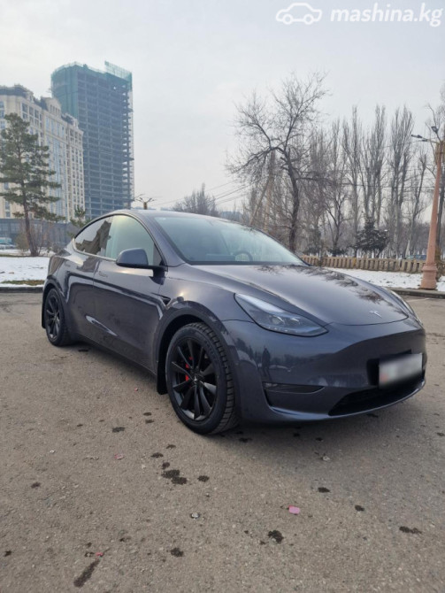 Tesla Model Y I Performance Electro AT (331 кВт) 4WD, 2023 Бишкек - изображение 6