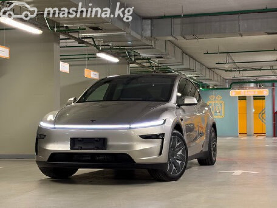 Tesla Model Y I Long Range Electro AT (254 кВт) 4WD, 2025 Бишкек - изображение 1
